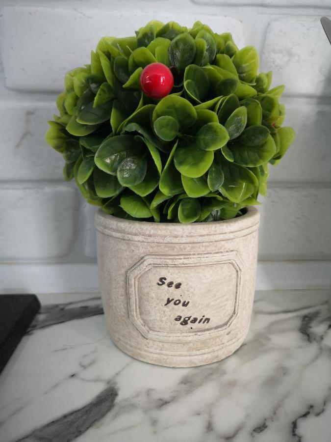 Apartamento Ivy Boutique *